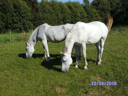Photos J. 055
