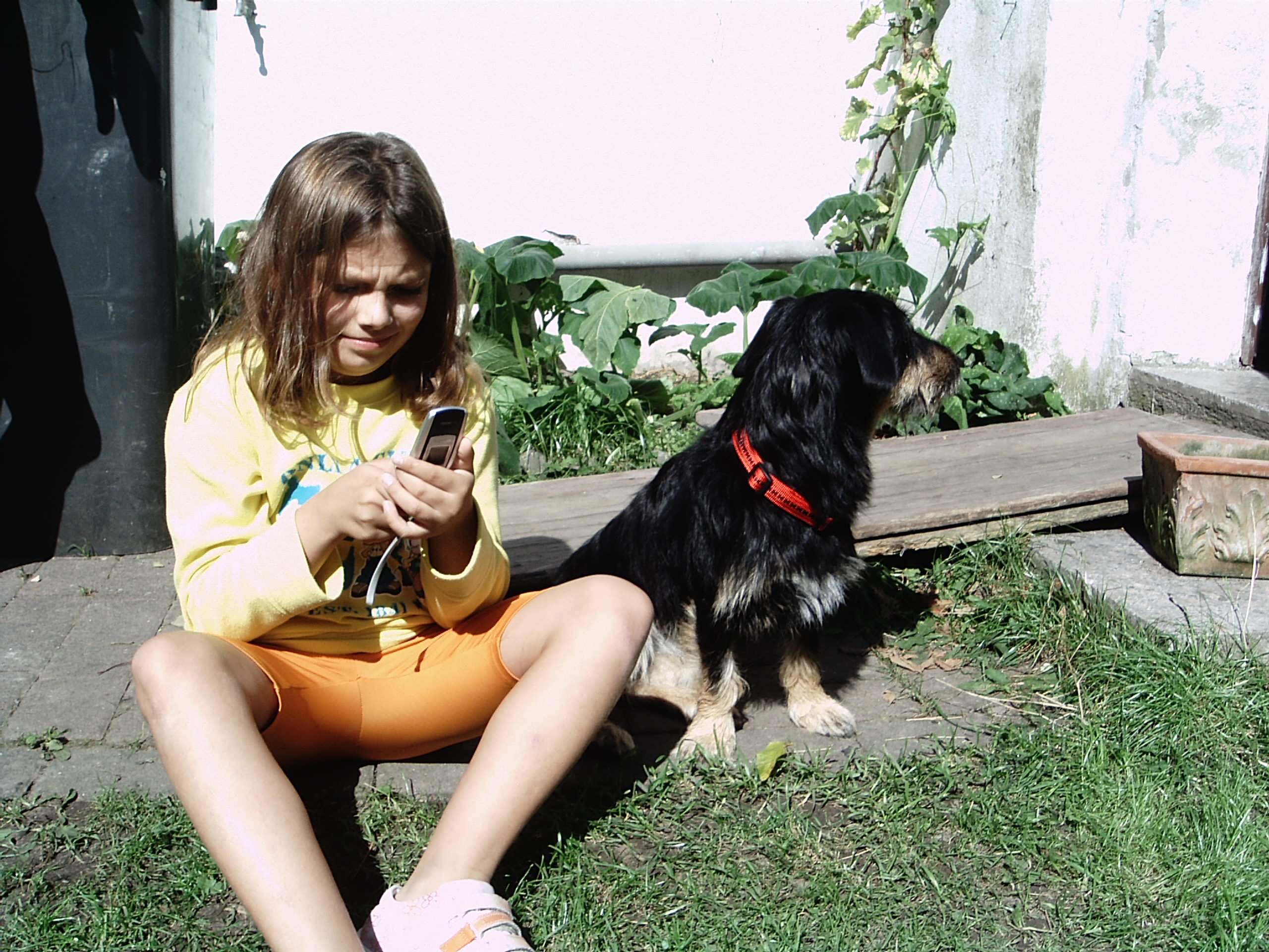 Lotti-3