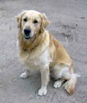 Marlon03