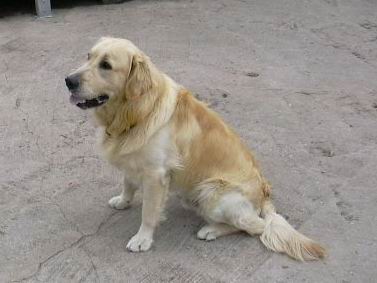 Marlon04