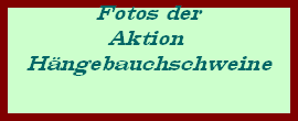 Fotos der





Aktion 





Hngebauchschweine