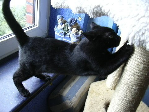 bandit4